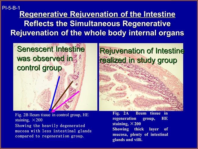 首页|bwin必赢亚洲集团中国官方网站