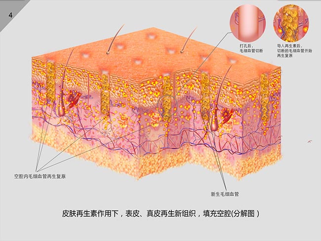 首页|bwin必赢亚洲集团中国官方网站